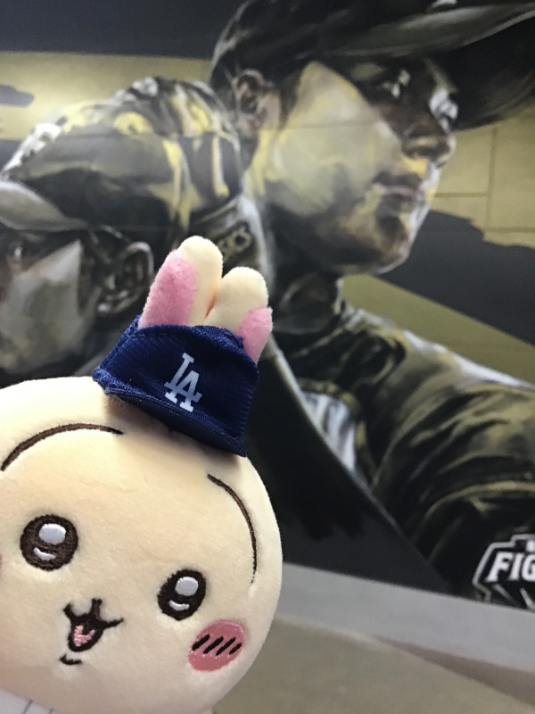 エスコンでぬいと撮影